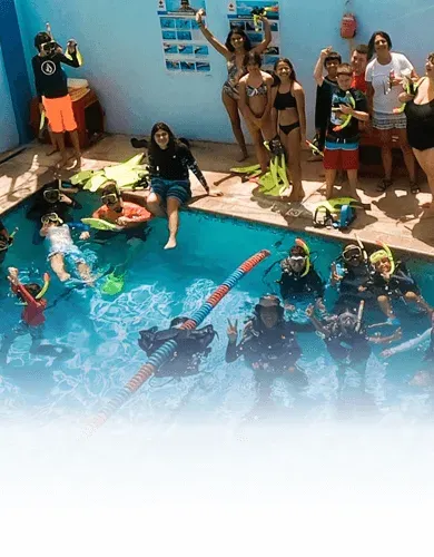 Groupe de personnes en formation plongée dans une piscine ensoleillée