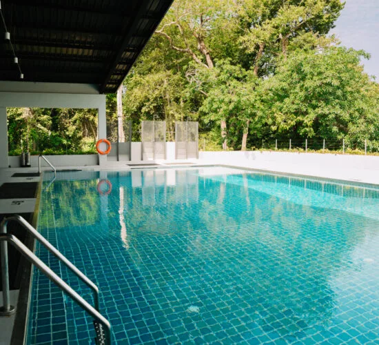 Piscine carree turquoise avec des marches et une vegetation dense