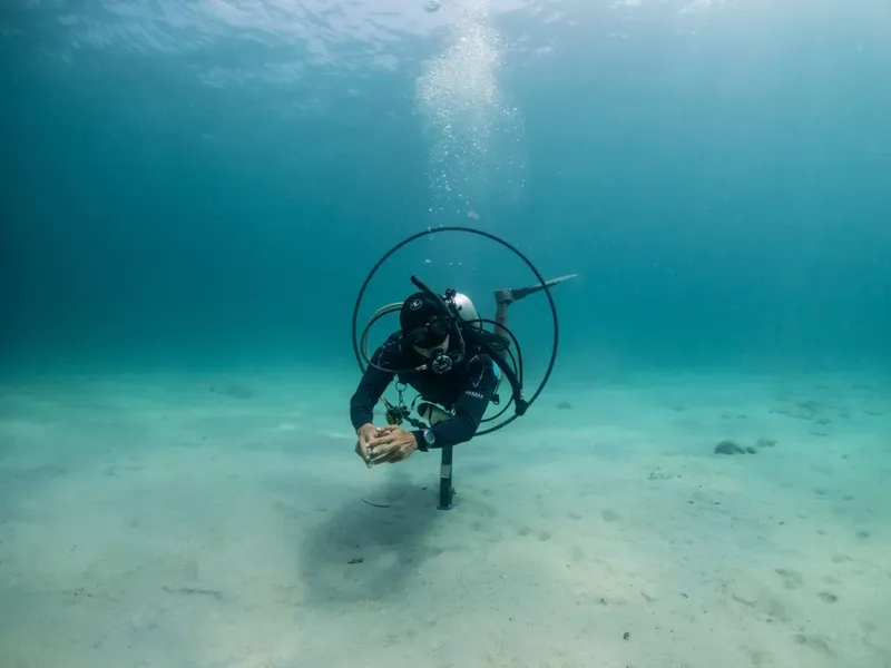 Plongeur en combinaison noire évolue dans une eau turquoise claire