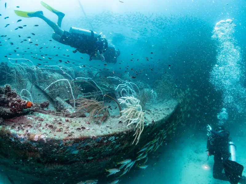 Deux plongeurs explorent une épave colonisée par la vie marine