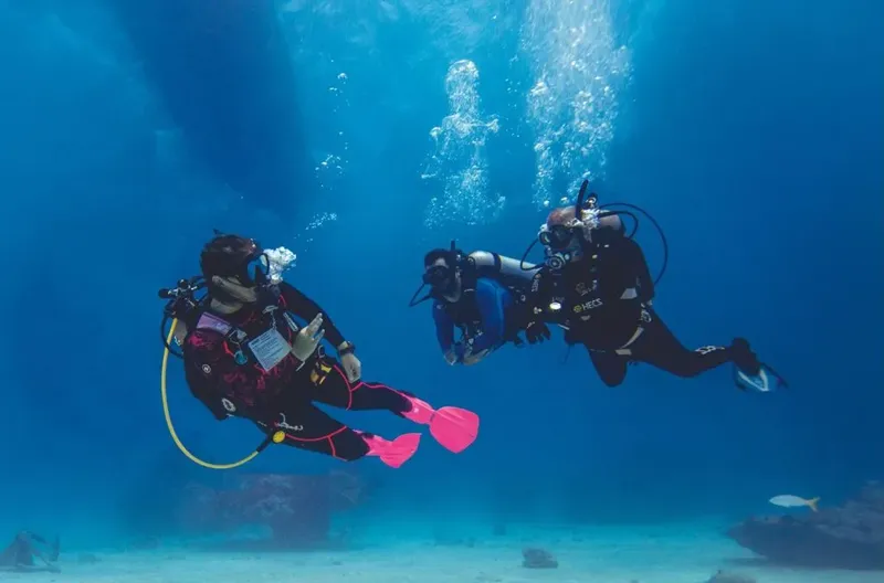 Deux plongeurs explorent un récifal corallien en eau bleue claire