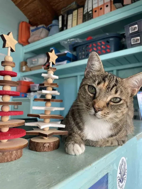 Chat tigré regardant l'objectif, devant des décorations de Noël artisanales