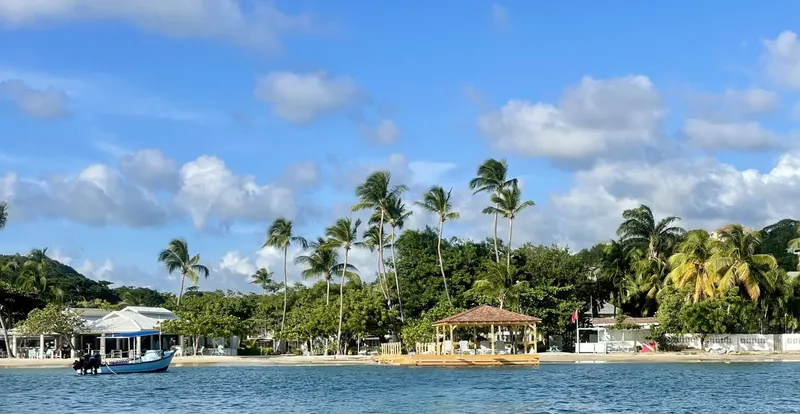 Plage tropicale avec un bateau amarré et des palmiers au soleil