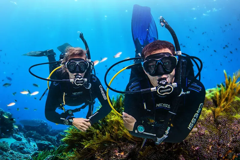 Deux plongeurs en combinaison explorent un récifal corallien bleu