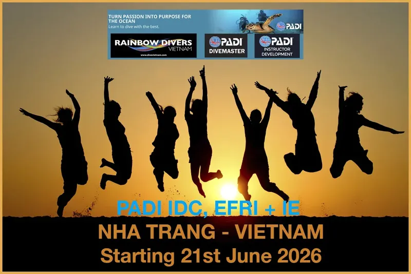 Silhouettes de personnes sautant au coucher du soleil, annonce formation plongée