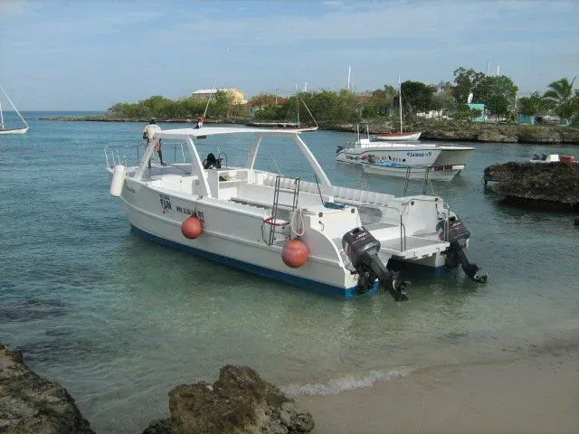 bateau de plongée blanc à moteur hors-bord sur une plage