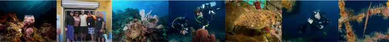 Plongeurs et coraux sous-marins, devanture du centre de plongée
