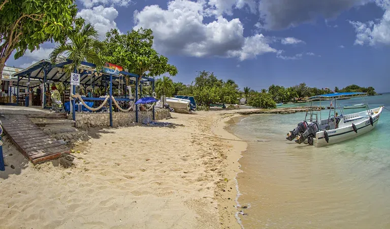 bateau de plongée sur une plage avec terrasse et végétation tropicale