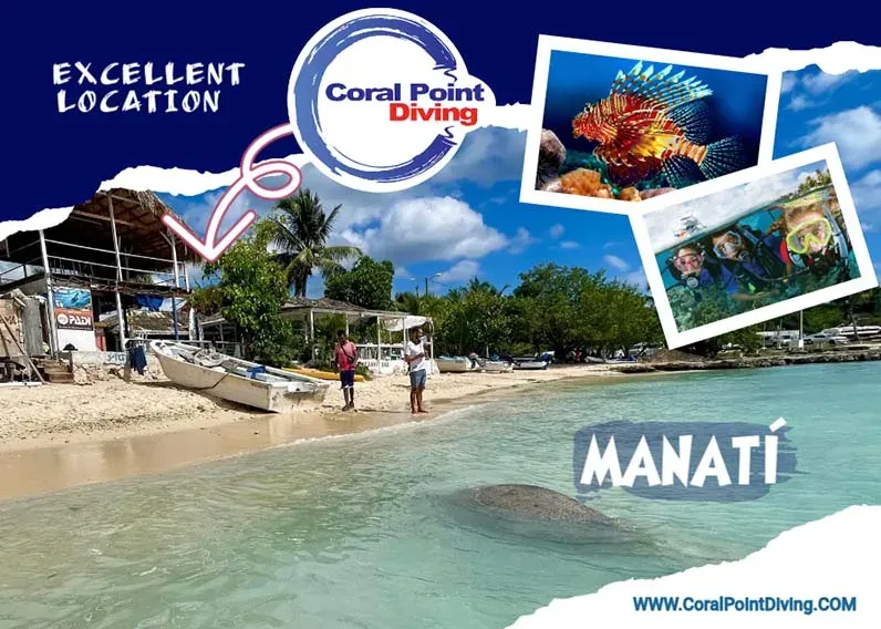 Plage tropicale, plongeurs, poissons colorés et manati, centre de plongée