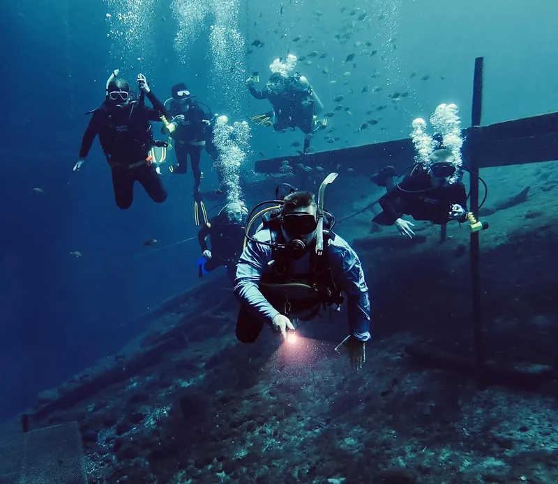 Plongeurs explorent une épave sous-marine avec des bancs de poissons