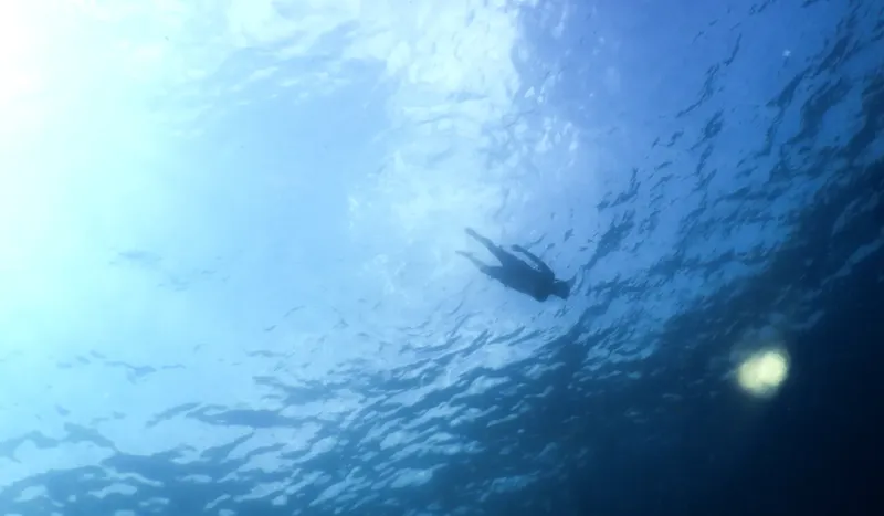 Plongeur vu d'en bas dans l'eau bleue, lumière du soleil