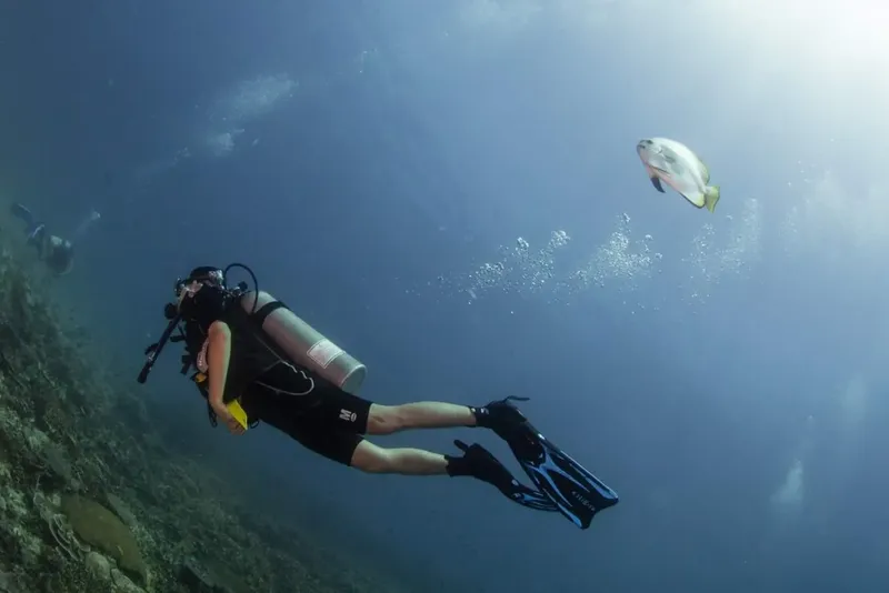 Plongeuse explorant un récifal avec un poisson coloré au loin