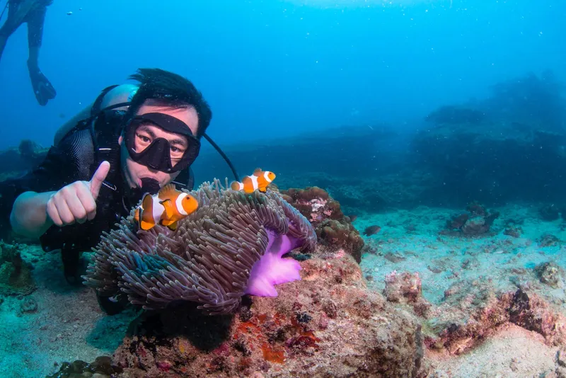Plongeur avec pouce levé près d'anémones et de poissons clowns