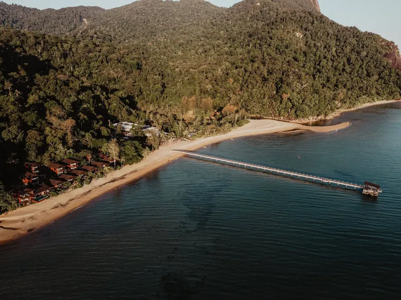 Vue aérienne d'une plage avec un ponton en bois et végétation dense