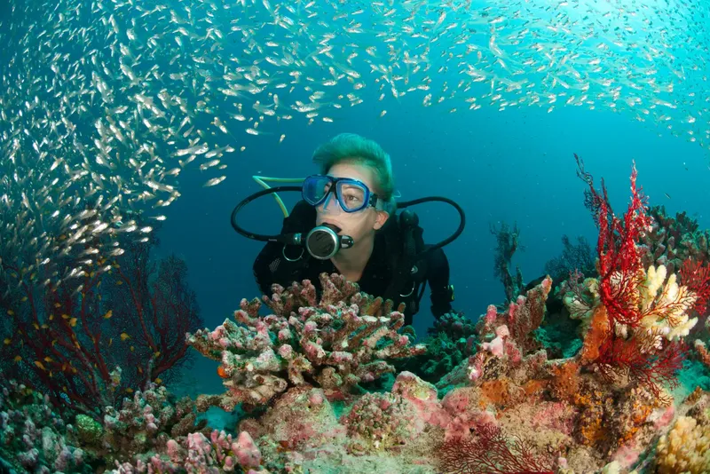 Plongeur face caméra, entouré de poissons et de coraux colorés