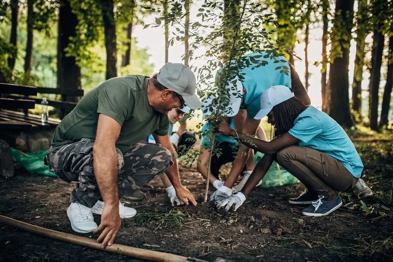 Groupe de personnes plantant un jeune arbre dans une forêt lumineuse