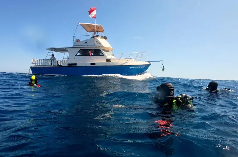 Plongeurs en surface près d'un bateau de plongée sous un ciel bleu