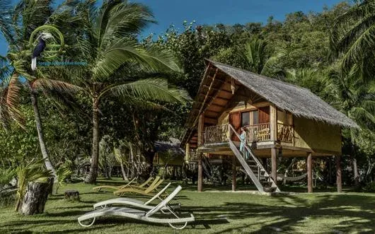 Cabane sur pilotis avec transats et végétation tropicale luxuriante
