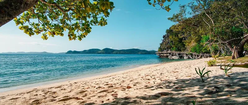 Plage de sable fin, mer turquoise et végétation luxuriante ensoleillée