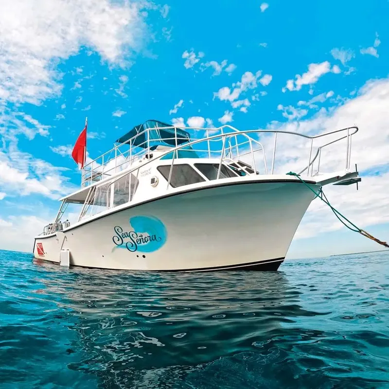 Bateau de plongée blanc et bleu sur une mer calme et ensoleillée