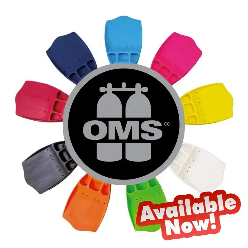 Palmes de plongée colorées disposées autour d'un logo OMS disponible