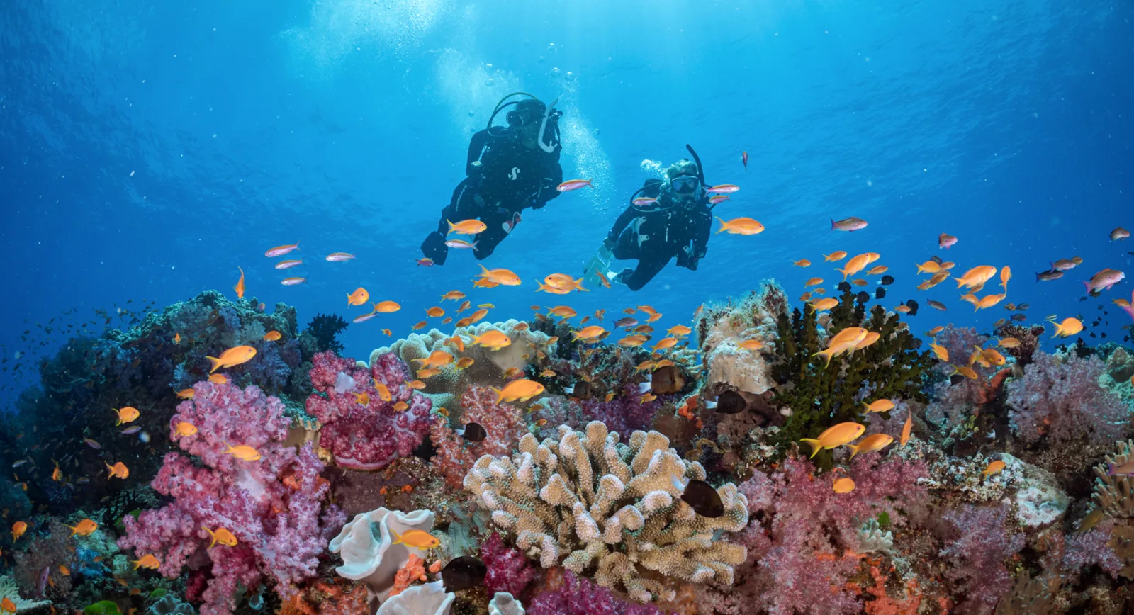 SS Scuba Pte Ltd