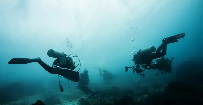 Plongeurs explorent un récifal sous-marin dans une eau bleutée