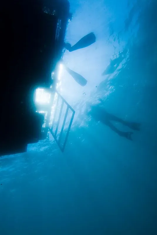 Pieds de plongeurs remontant vers un ponton sous la surface de l'eau