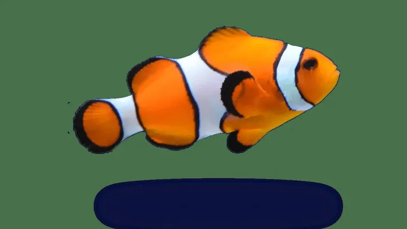 Poisson clown orange et blanc nageant sur fond vert uni