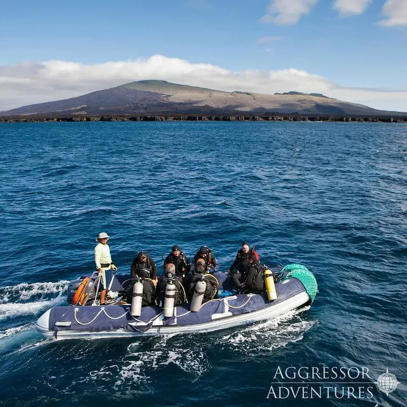 Plongée : un bateau semi-rigide transporte des plongeurs en mer
