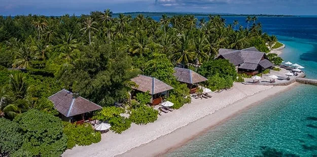 bungalows sur une plage de sable blanc entourés de palmiers