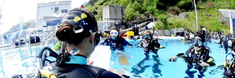 Formation plongée en piscine avec instructeur et plusieurs participants équipés