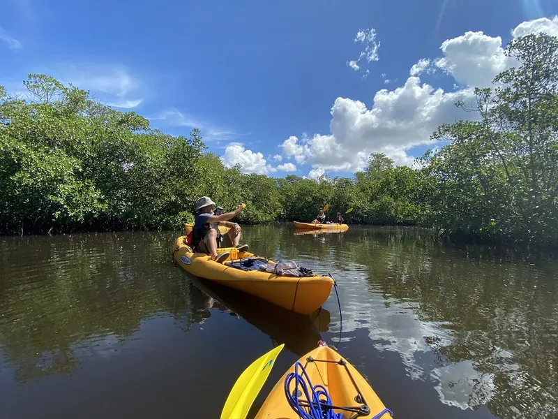 Personnes en kayak naviguent sur une rivière bordée de végétation luxuriante