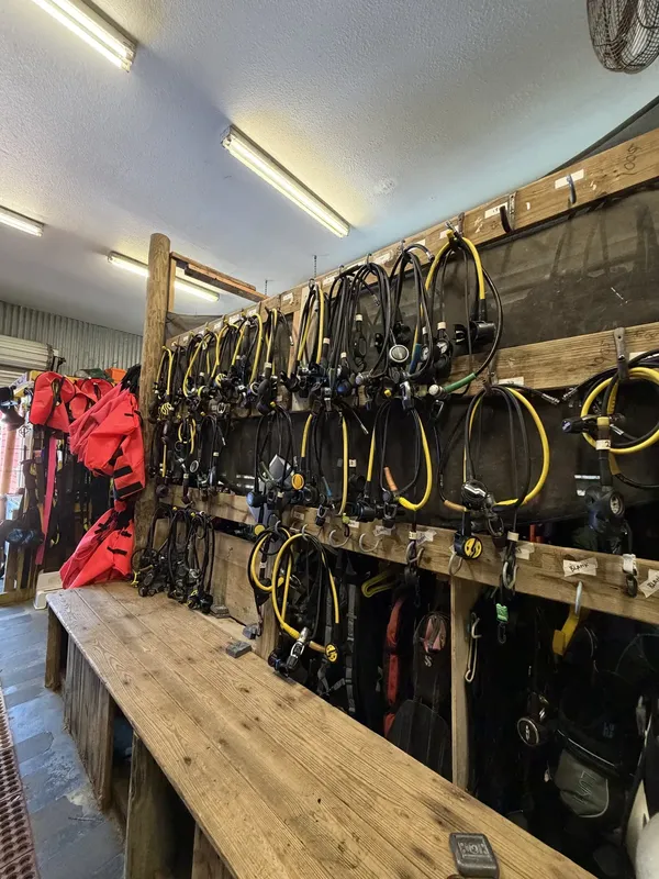 détendeurs et gilets stabilisateurs suspendus sur un râtelier en bois
