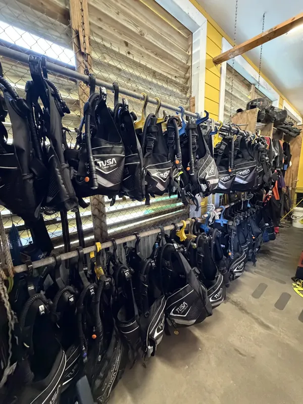 rangées de gilets stabilisateurs de plongée suspendus dans un local