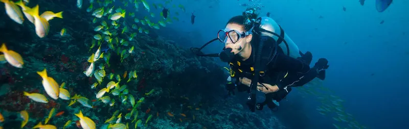 Plongeur avec masque et combinaison entouré d'un banc de poissons tropicaux