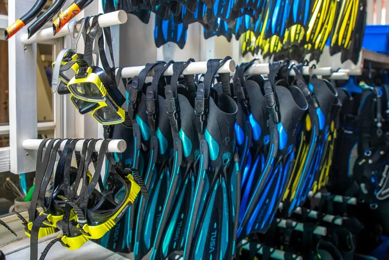 Rangée de masques et de palmes de plongée colorés suspendus au rack