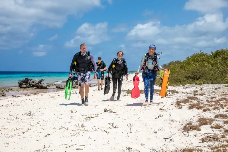 Groupe de plongeurs marchant sur une plage de sable blanc ensoleillée