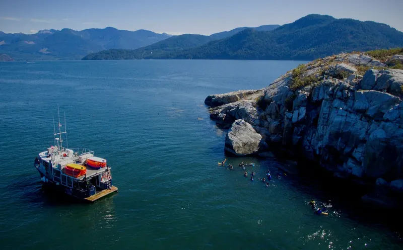 Plongée en mer avec un groupe de personnes près d'un bateau
