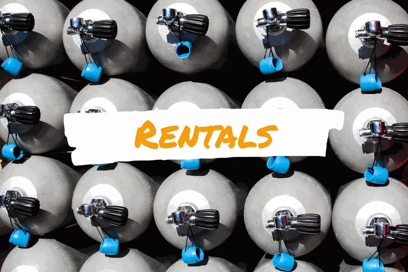 Bouteilles de plongée alignées avec une pancarte indiquant 'RENTALS' location