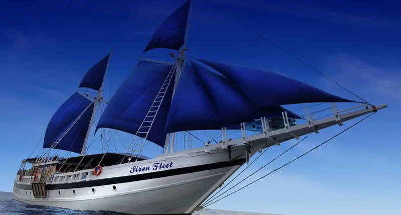 Grand voilier blanc et bleu naviguant sur une mer calme