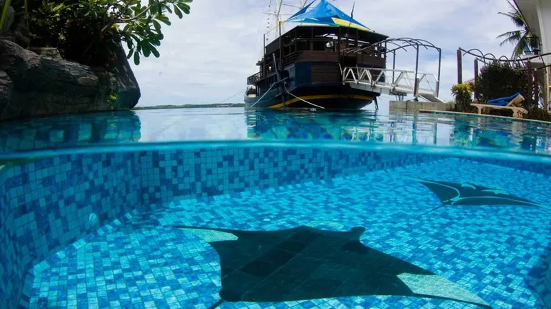 Raies manta nagent dans une piscine avec un bateau en arrière-plan