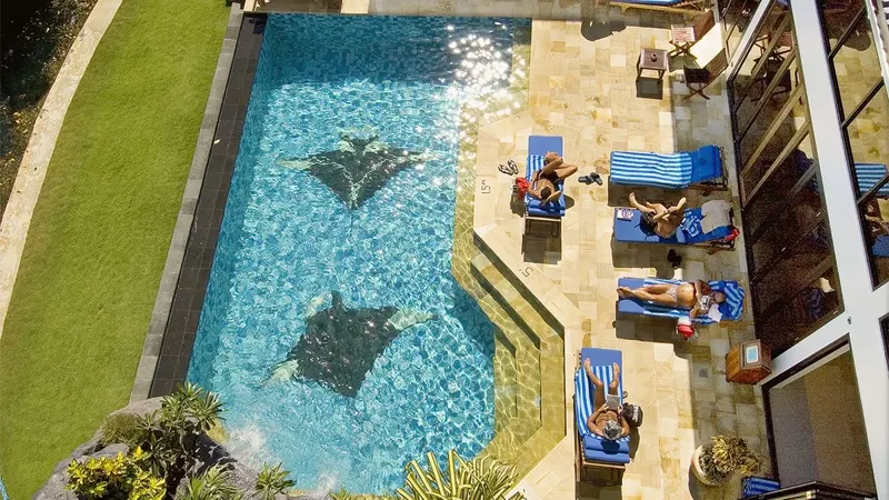 Raies manta évoluent dans une piscine avec des personnes se relaxant