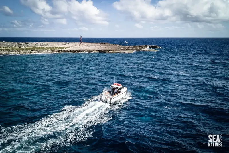 Bateau de plongée naviguant sur une mer bleue vers une côte rocheuse