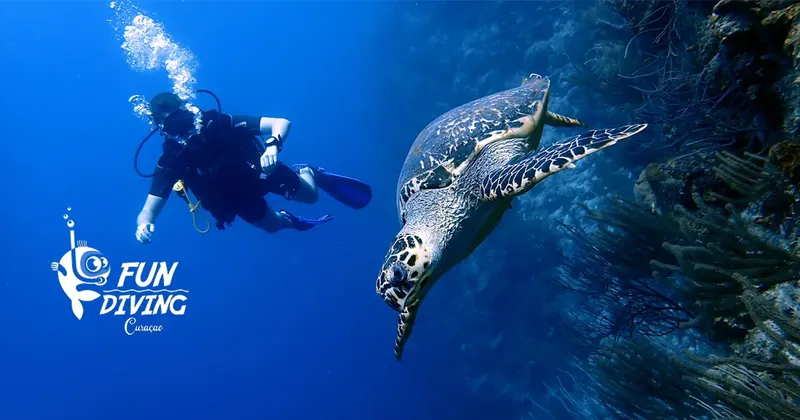 Plongeur et tortue marine nagent ensemble dans une eau bleue claire
