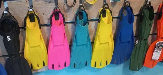 Palmes de plongée colorées suspendues, équipement prêt pour l'exploration sous-marine