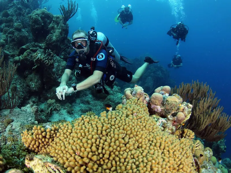Plongeurs explorent un récif corallien coloré en milieu aquatique