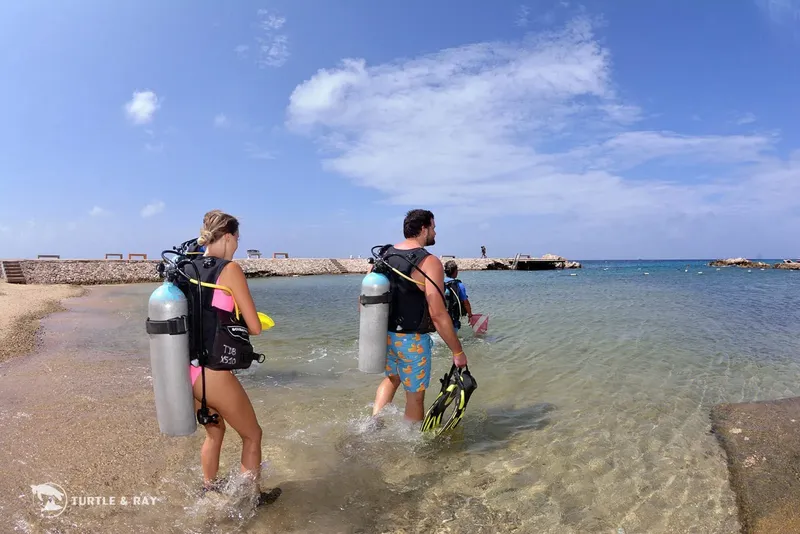 Plongeurs sortant de l'eau avec leur équipement sur une plage