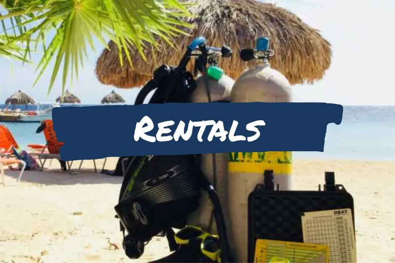 Equipement de plongée sur une plage avec le texte Rentals en surimpression