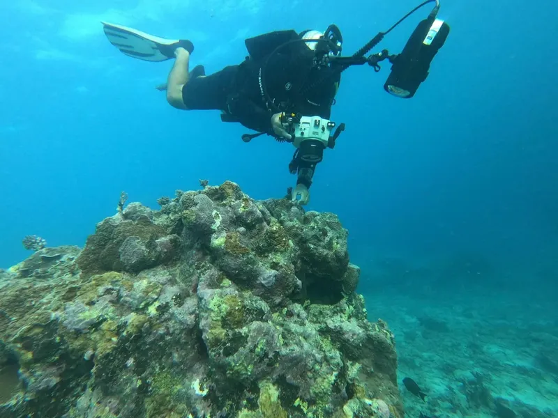 Plongeur photographiant un récif corallien en eau bleue claire